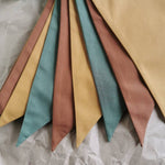 Karodziņu virtene "Pa pēdām" Image 2